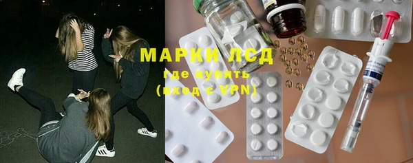 сатива Михайловка