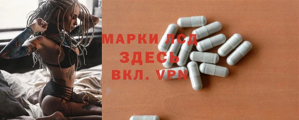 сатива Михайловка