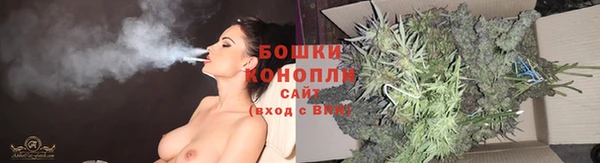 МДПВ Михайлов