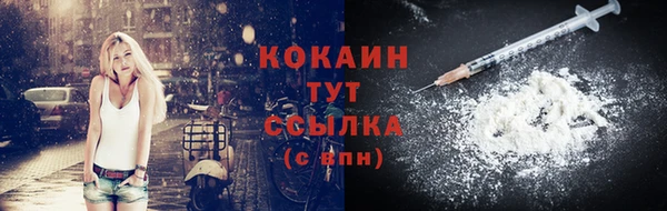 МДПВ Михайлов