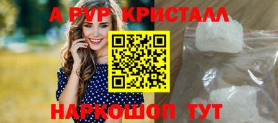 дмт Кингисепп