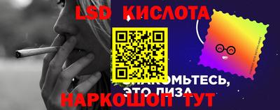 дмт Кингисепп