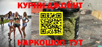 дмт Кингисепп