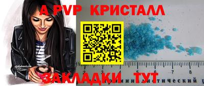 дмт Кингисепп