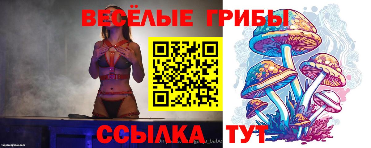 Дятьково  Галлюциногенные грибы ЛСД  Галлюциногенные грибы GOLDEN TEACHER  где купить   Вход с VPN 