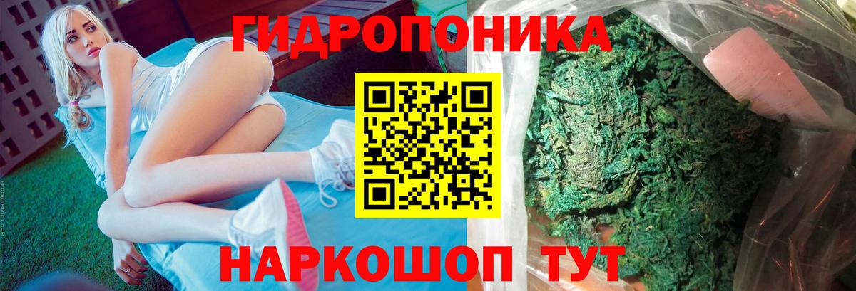 Канабис White Widow  Шишки марихуана OG Kush  Дятьково  МАРИХУАНА Amnesia  Бошки Шишки Ganja 